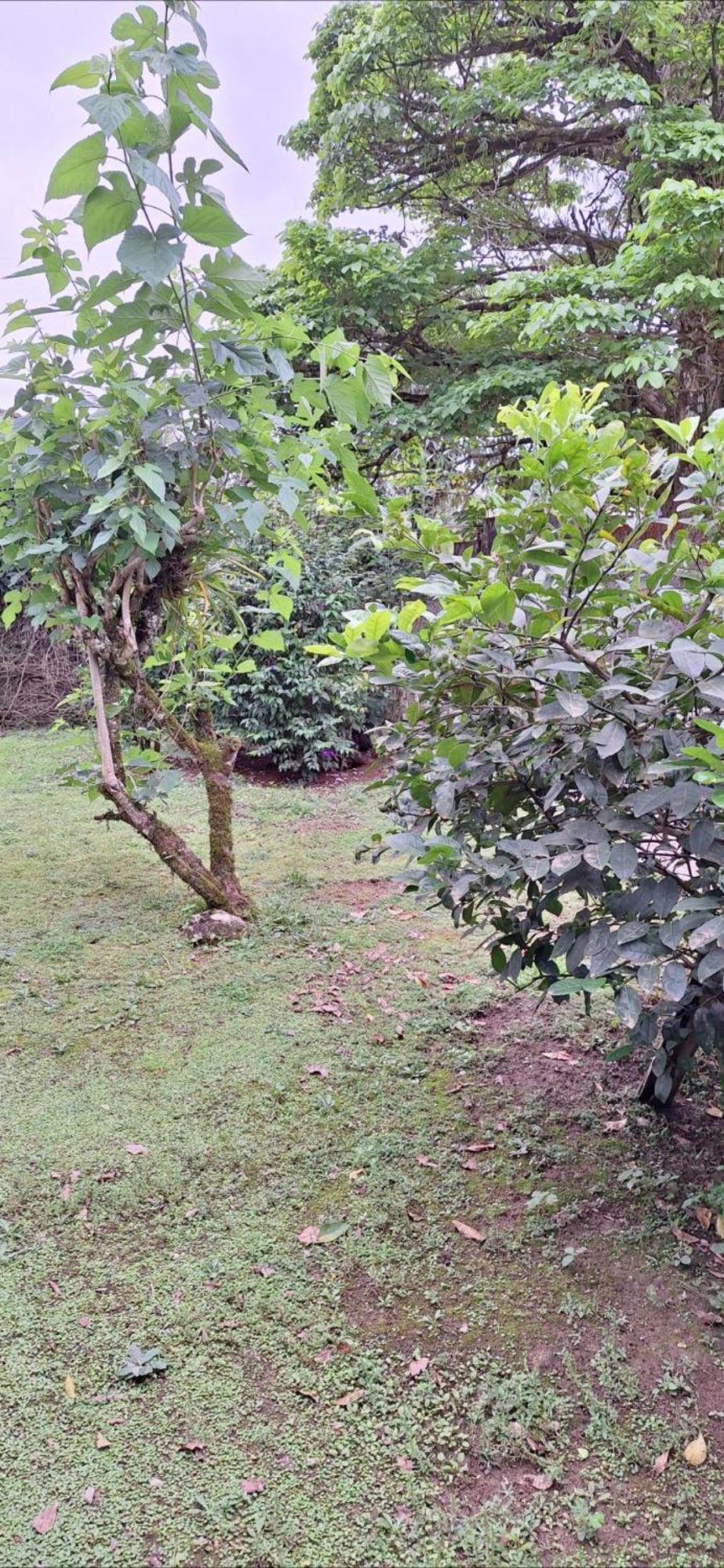 Apartamento Barracuda 10 *